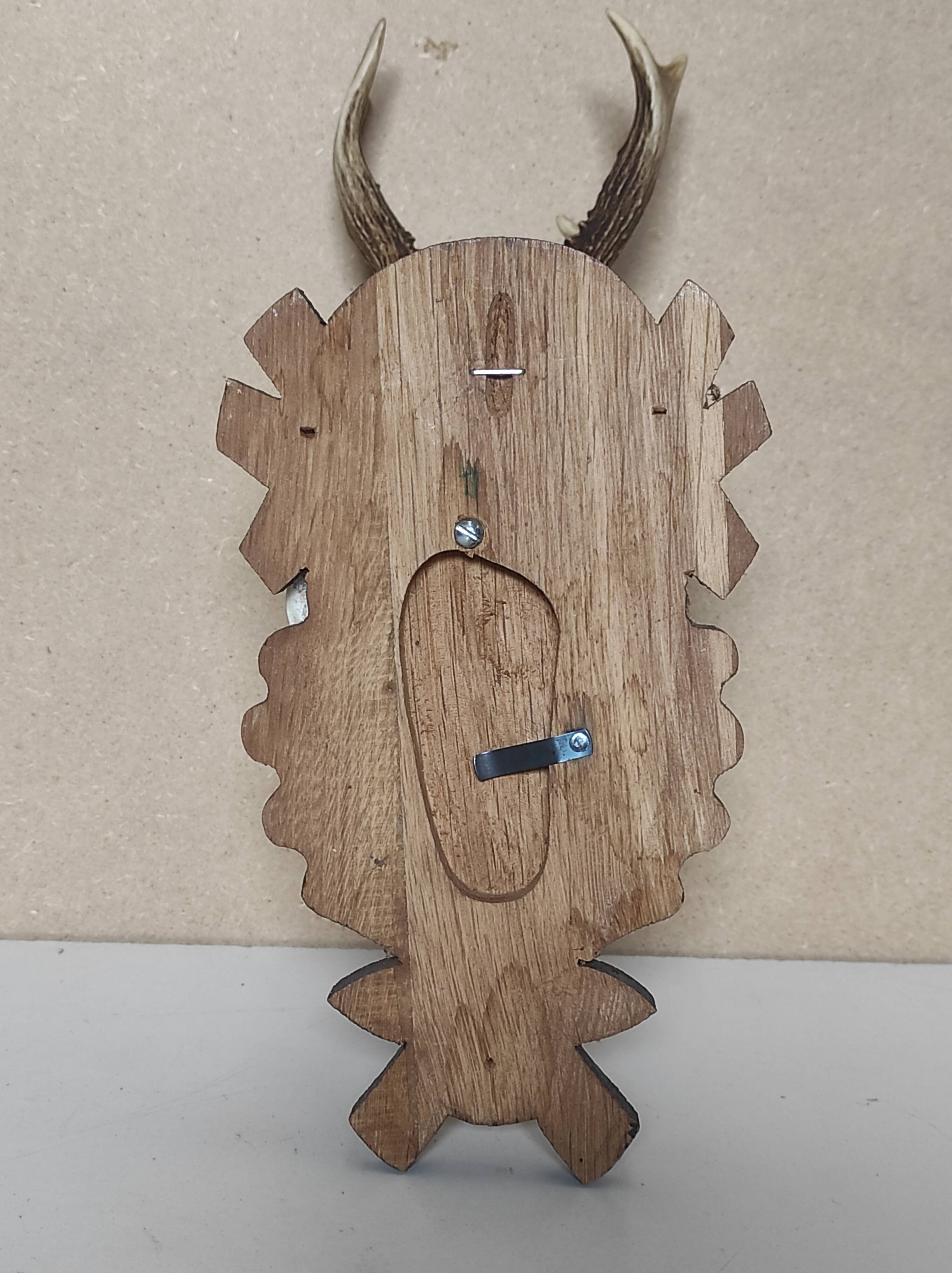 Massacre trophée chasse jeune cerf sur écusson en bois sculpté avec feuilles de chêne et glands