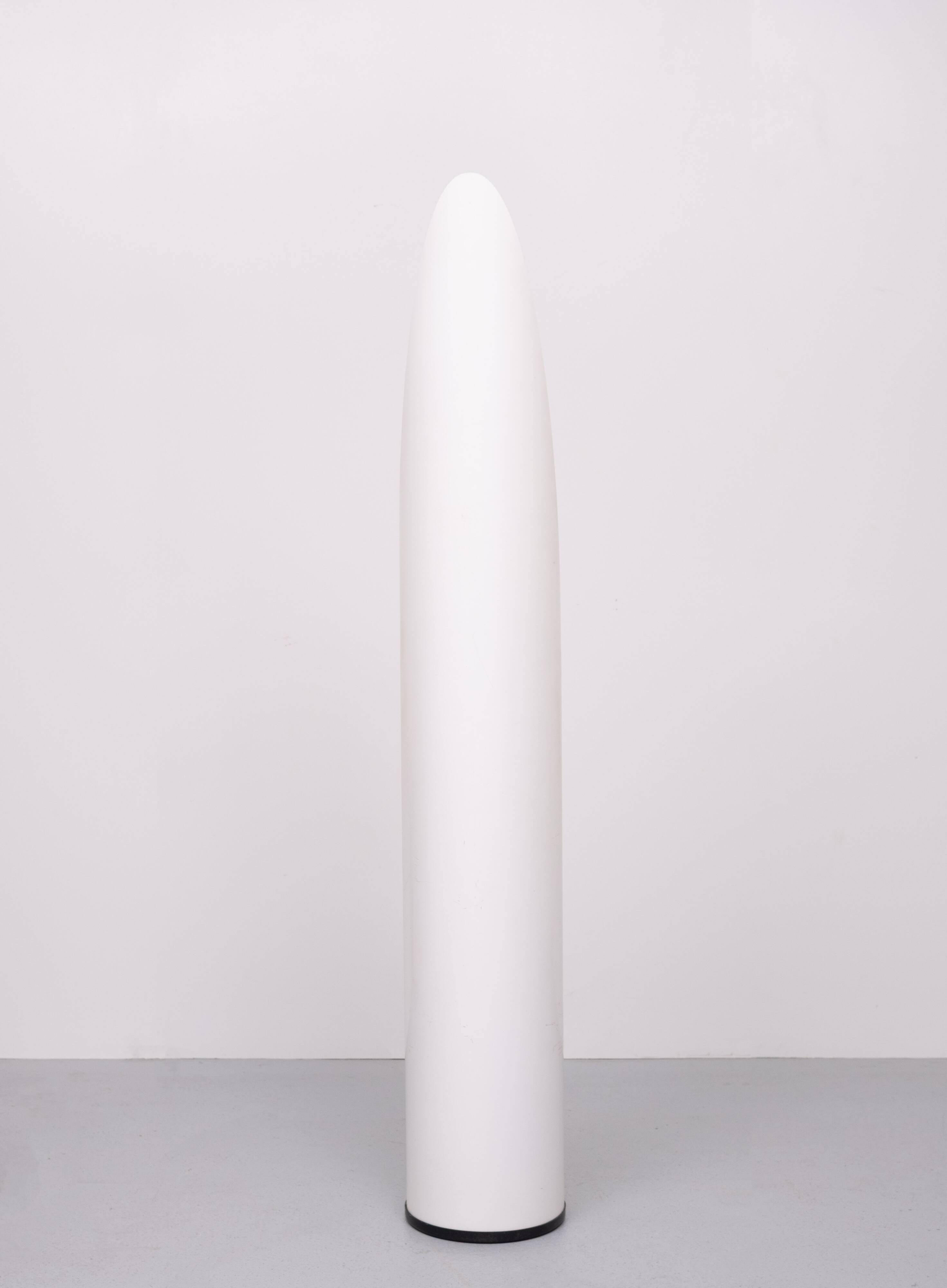 Miroir à rouge à lèvres Unghia Miroir pleine longueur Space Age années 1970