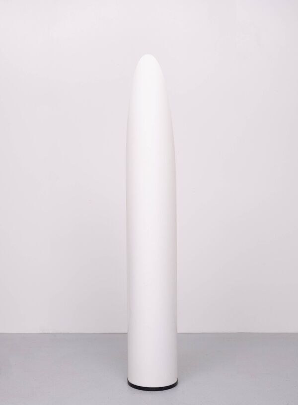 Miroir à rouge à lèvres Unghia Miroir pleine longueur Space Age années 1970