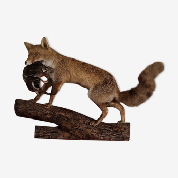 Stuffed fox on wood