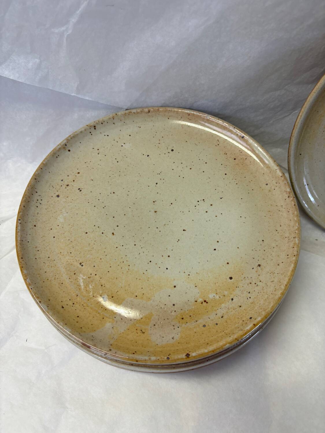 Set of 8 marsh stoneware plates
