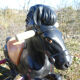 Vintage carousel riding horse