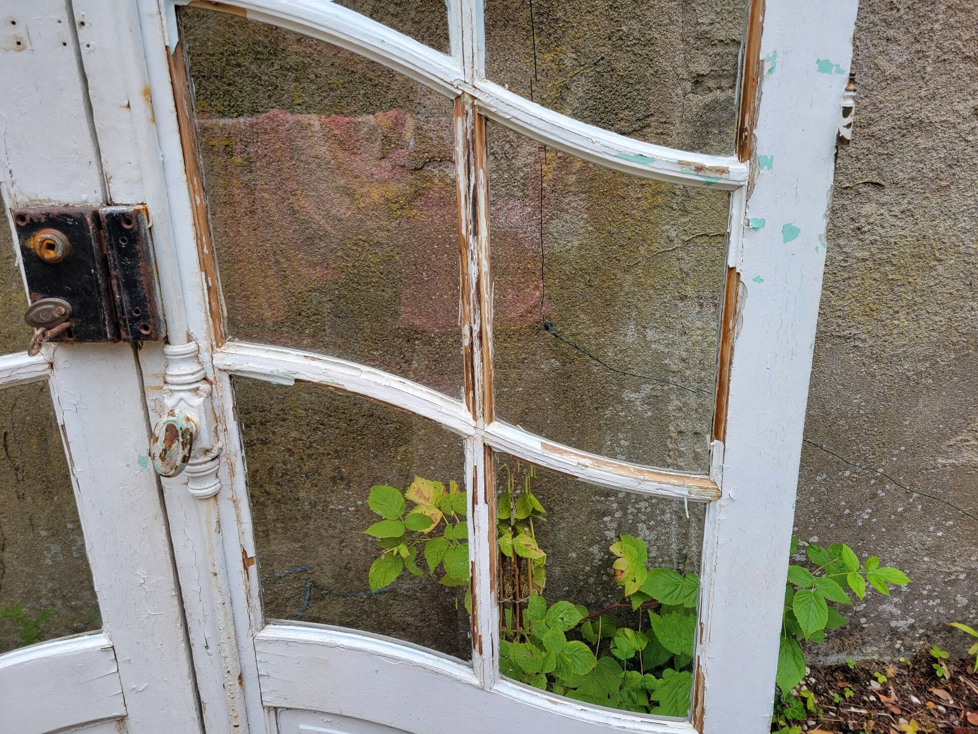 Art Nouveau double doors with small panes.
