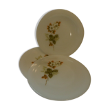 Vintage arcopal plates