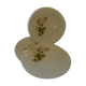Vintage arcopal plates