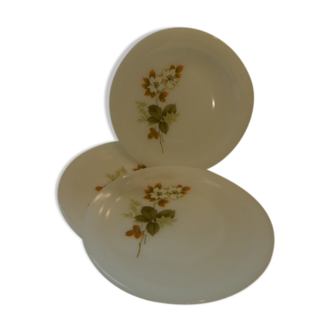 Vintage arcopal plates