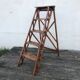 Old beech stepladder
