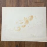 The lobster signed Jean Le Guennec 1924/1988