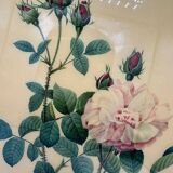 Old lithograph