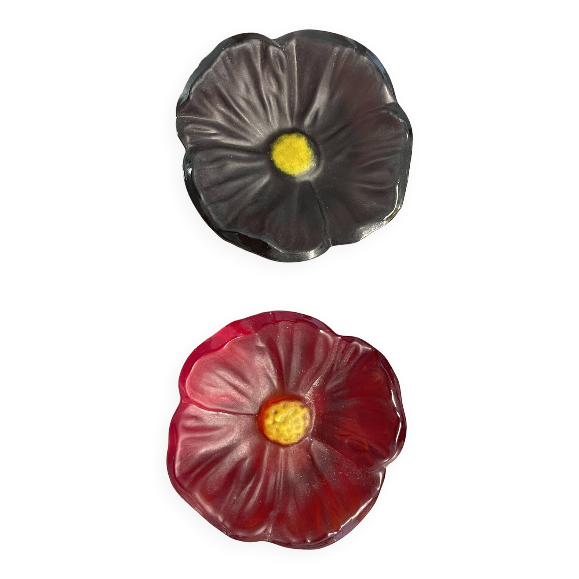 Empty pocket flower daum