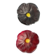 Empty pocket flower daum
