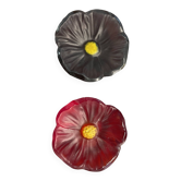 Empty pocket flower daum