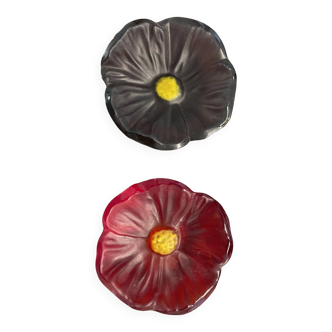 Empty pocket flower daum