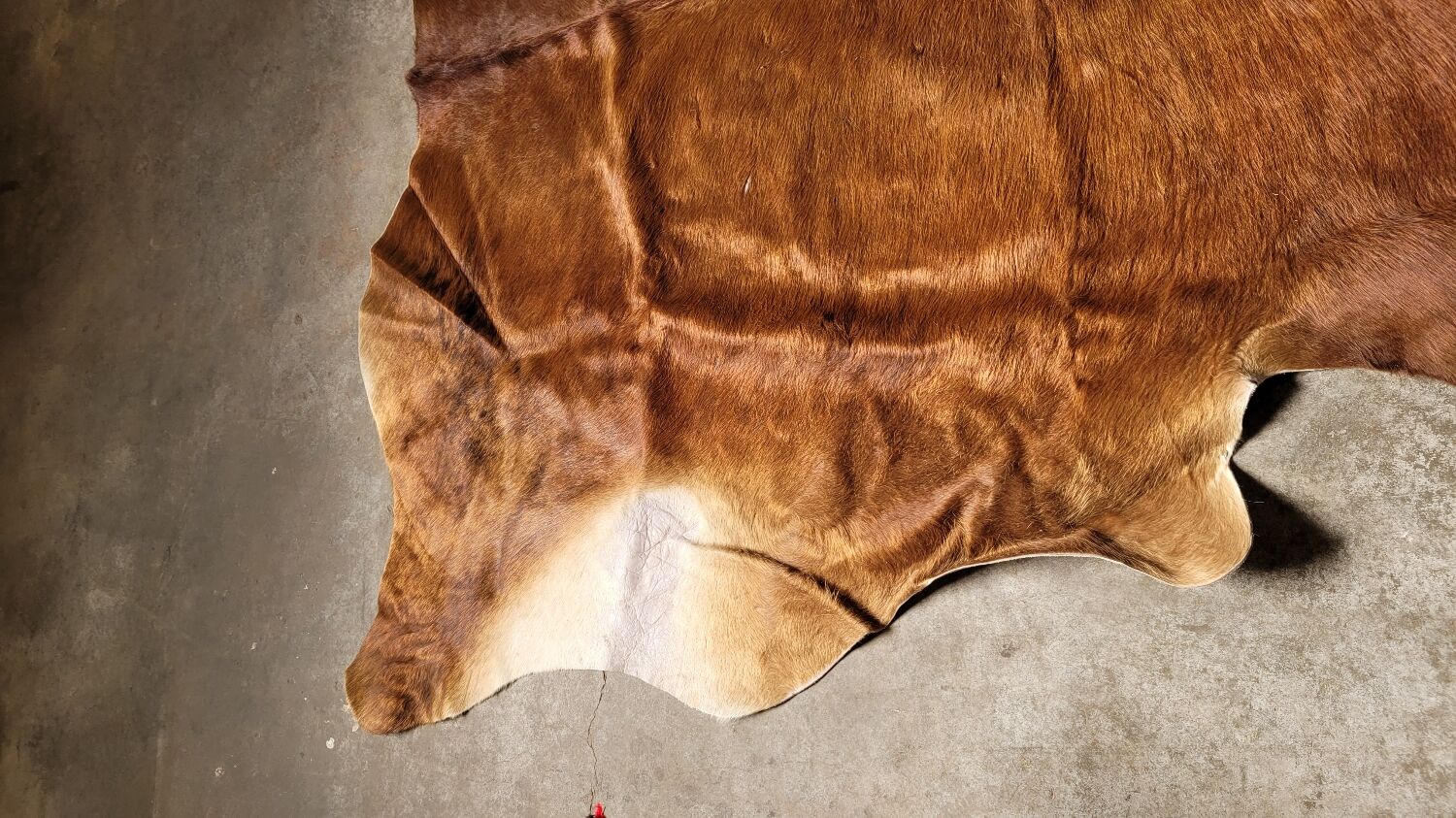 Vintage cowhide carpet 1970 2m20x1m90