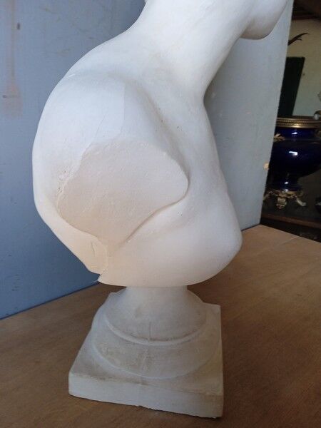 Large flat bust of Venus