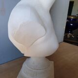 Large flat bust of Venus