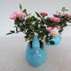 Swan pot covers