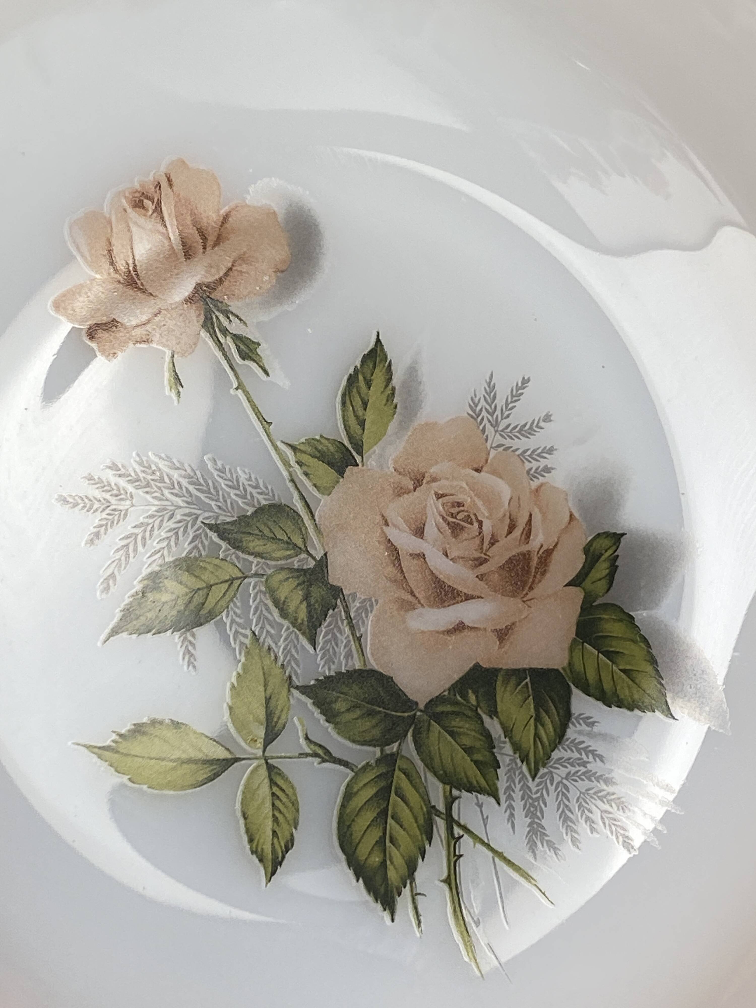 Set de 6 assiettes creuses Arcopal Rose de France