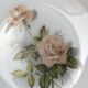 Set de 6 assiettes creuses Arcopal Rose de France