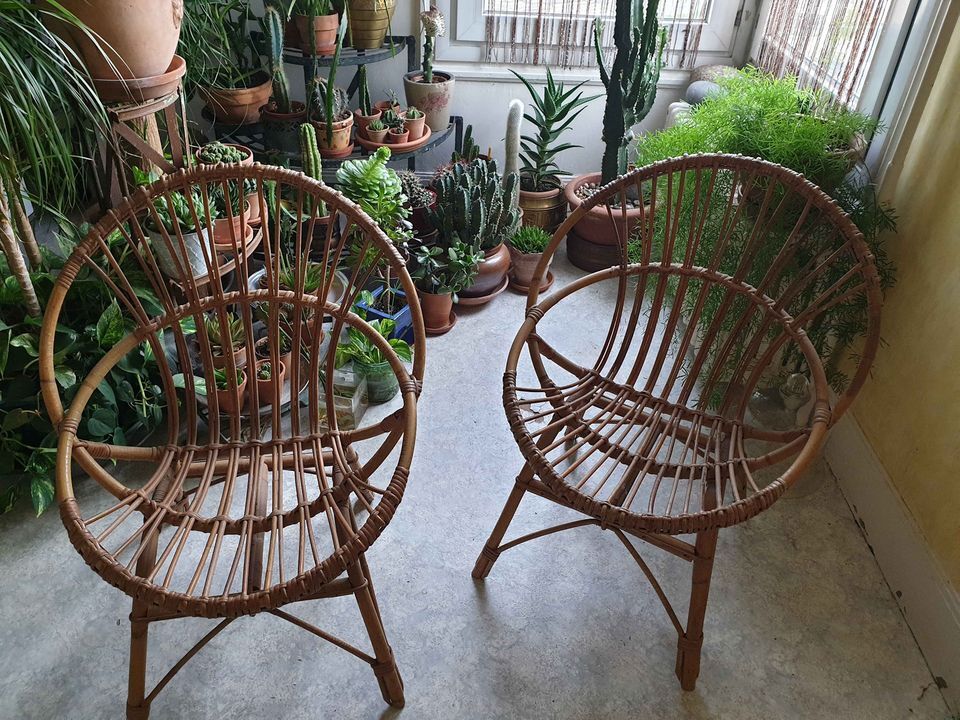 Fauteuil corbeille en rotin