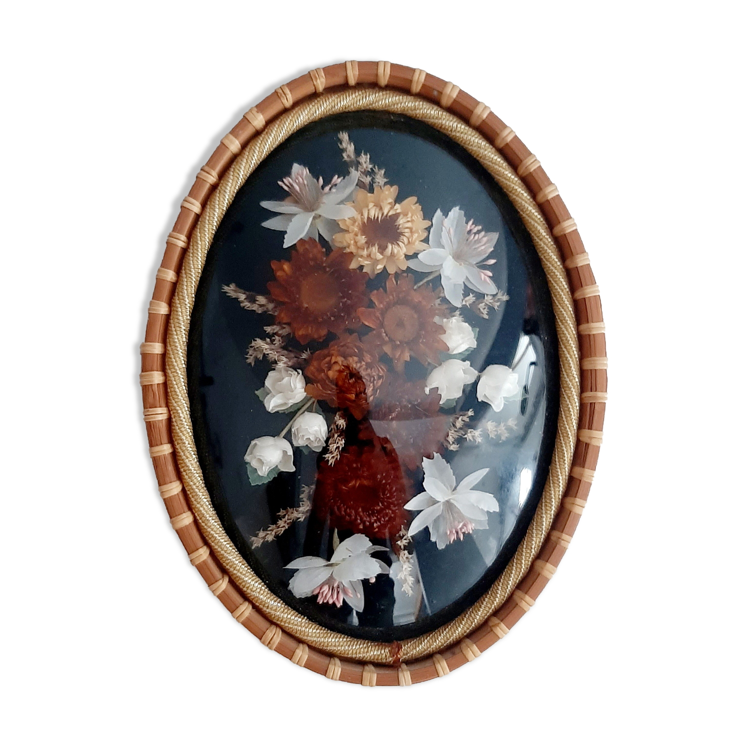 Domed frame dried flowers 50s 60s