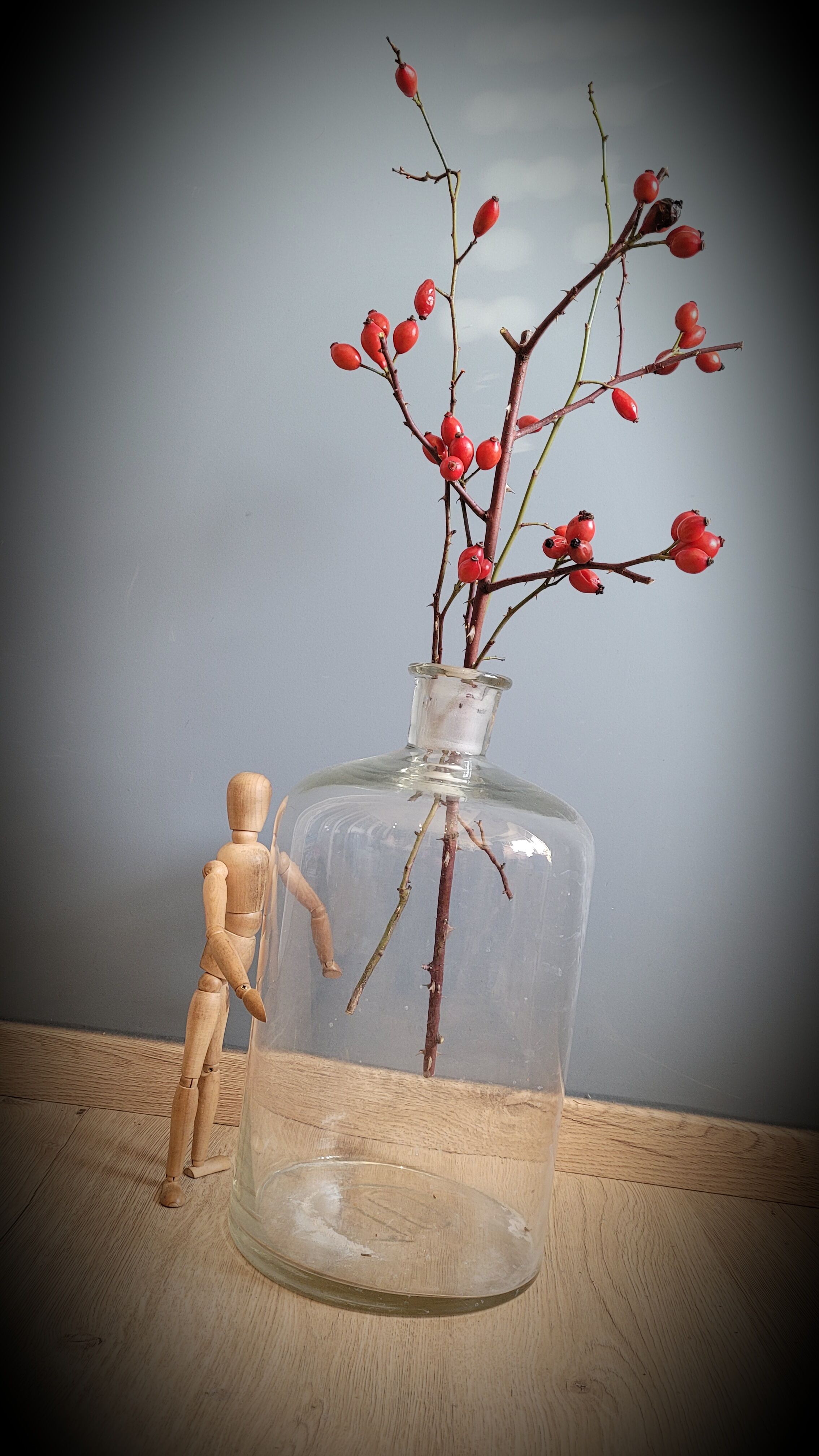 Transparent 10L apothecary bottle