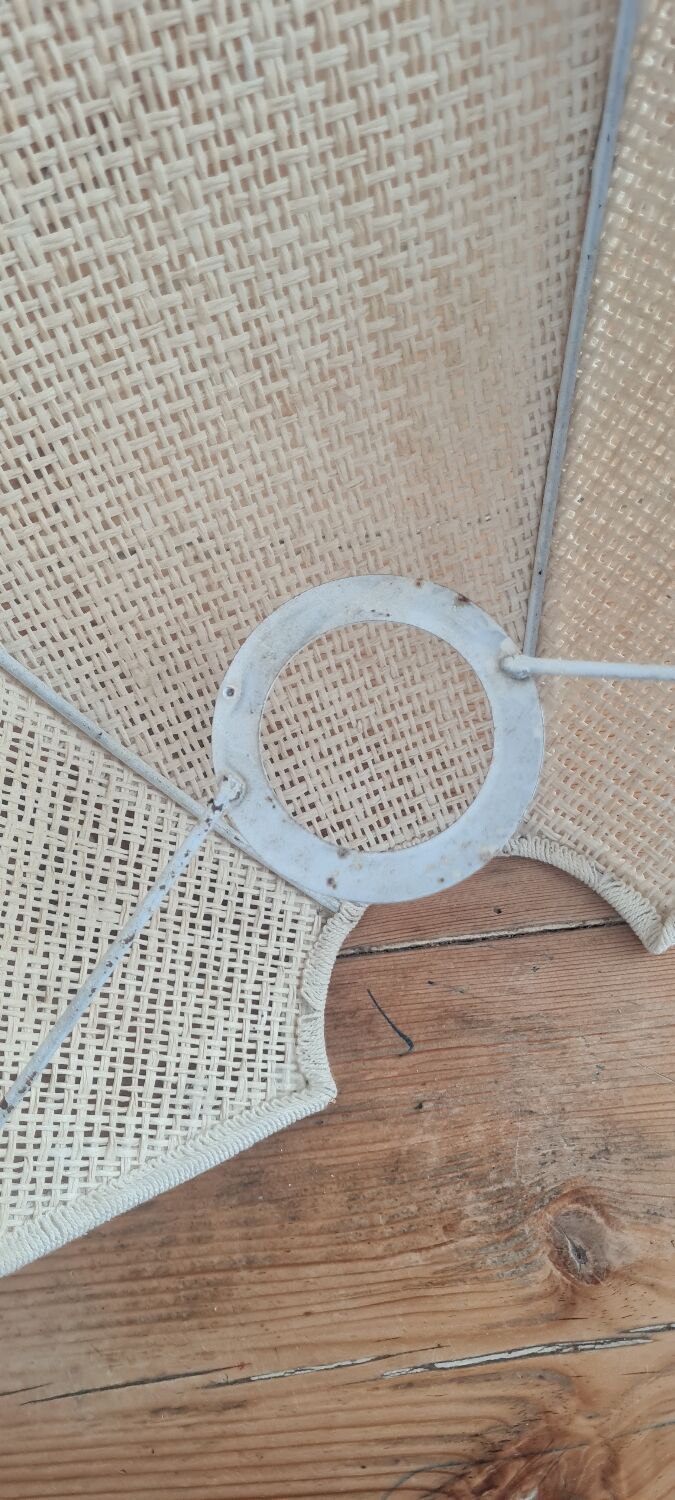 Lotus flower canning wall lamp