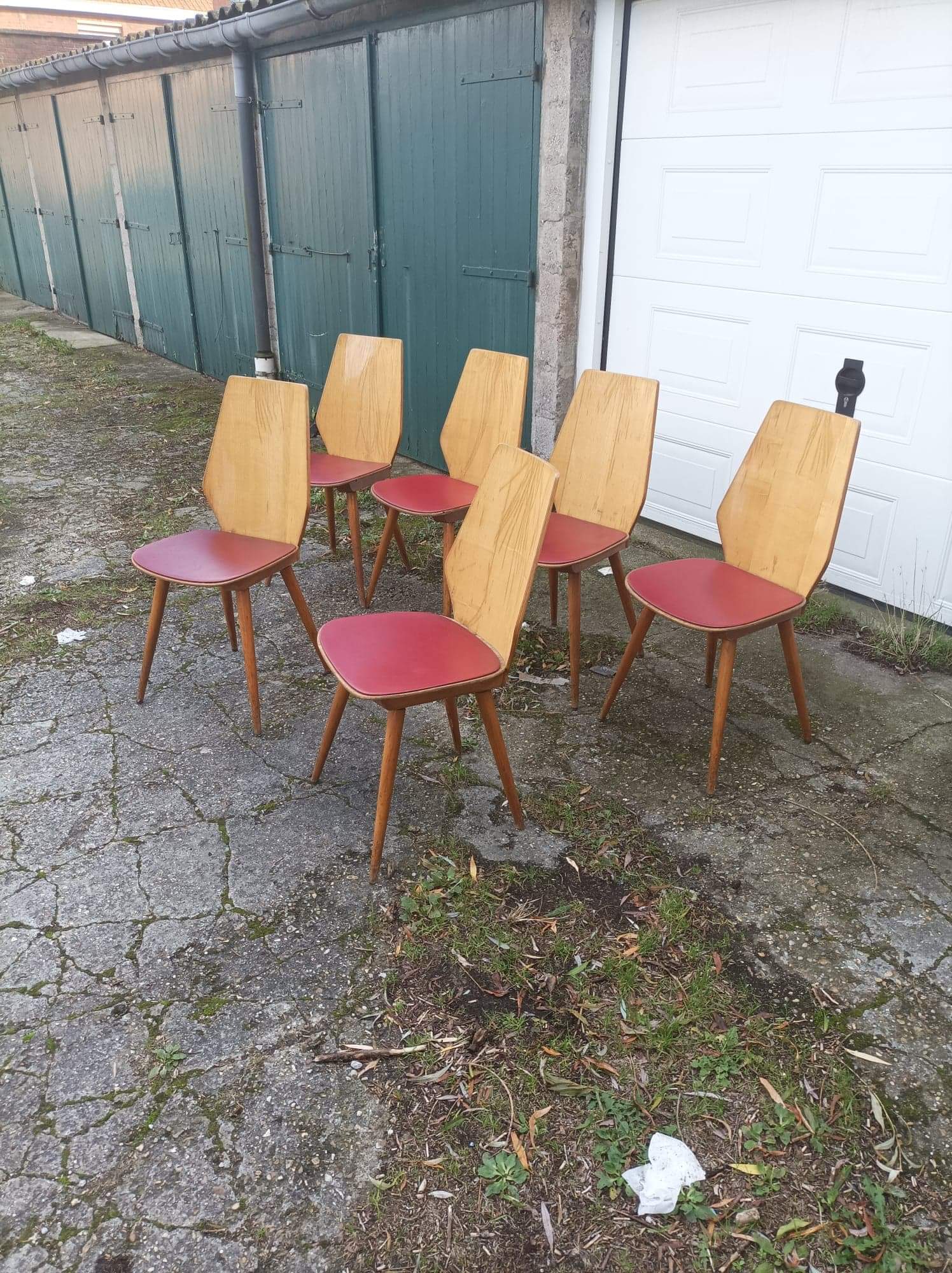 6 vintage Baumann chairs by Max Bill 50s