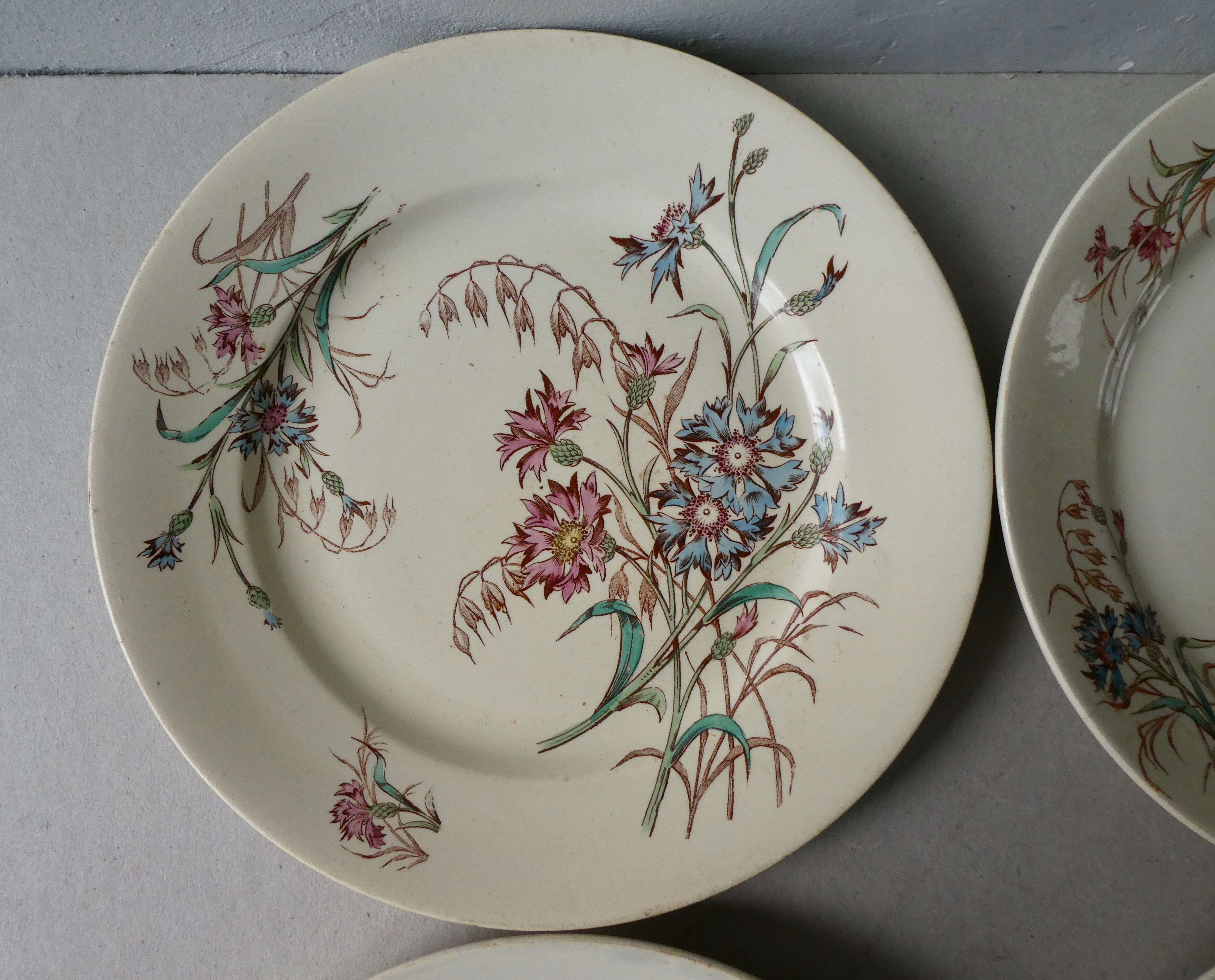 Set de 6 assiettes plates Luneville, décor bleuet, 1900
