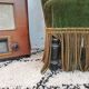 Fauteuil crapaud vert