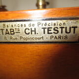 Precision scale testut