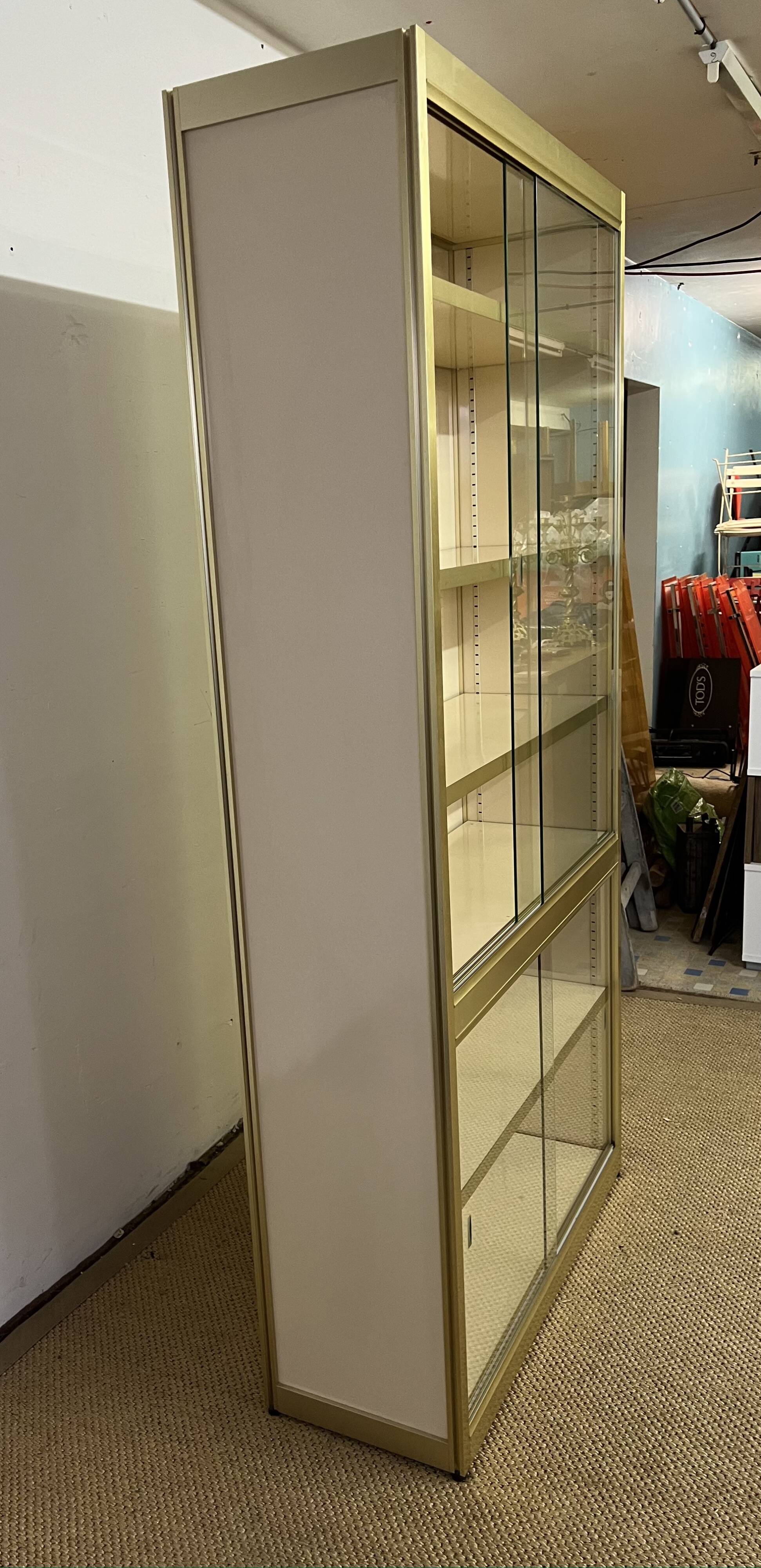 Vintage library display case