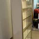 Vintage library display case