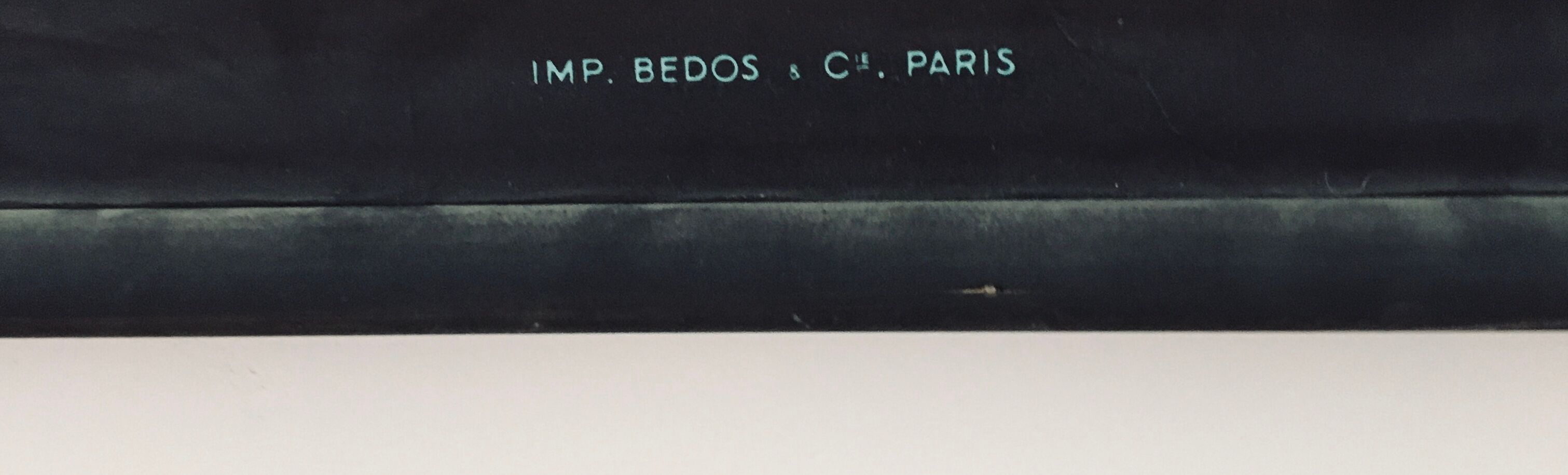 Dr. Auzoux's school poster, the cicada