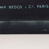 Dr. Auzoux's school poster, the cicada