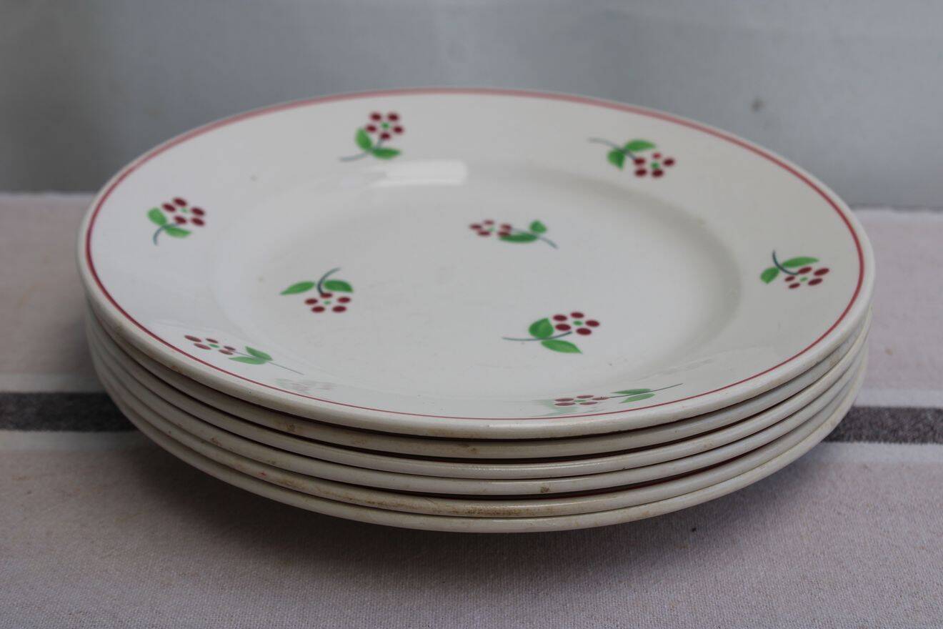 Lot de 6 assiettes à dessert en céramique