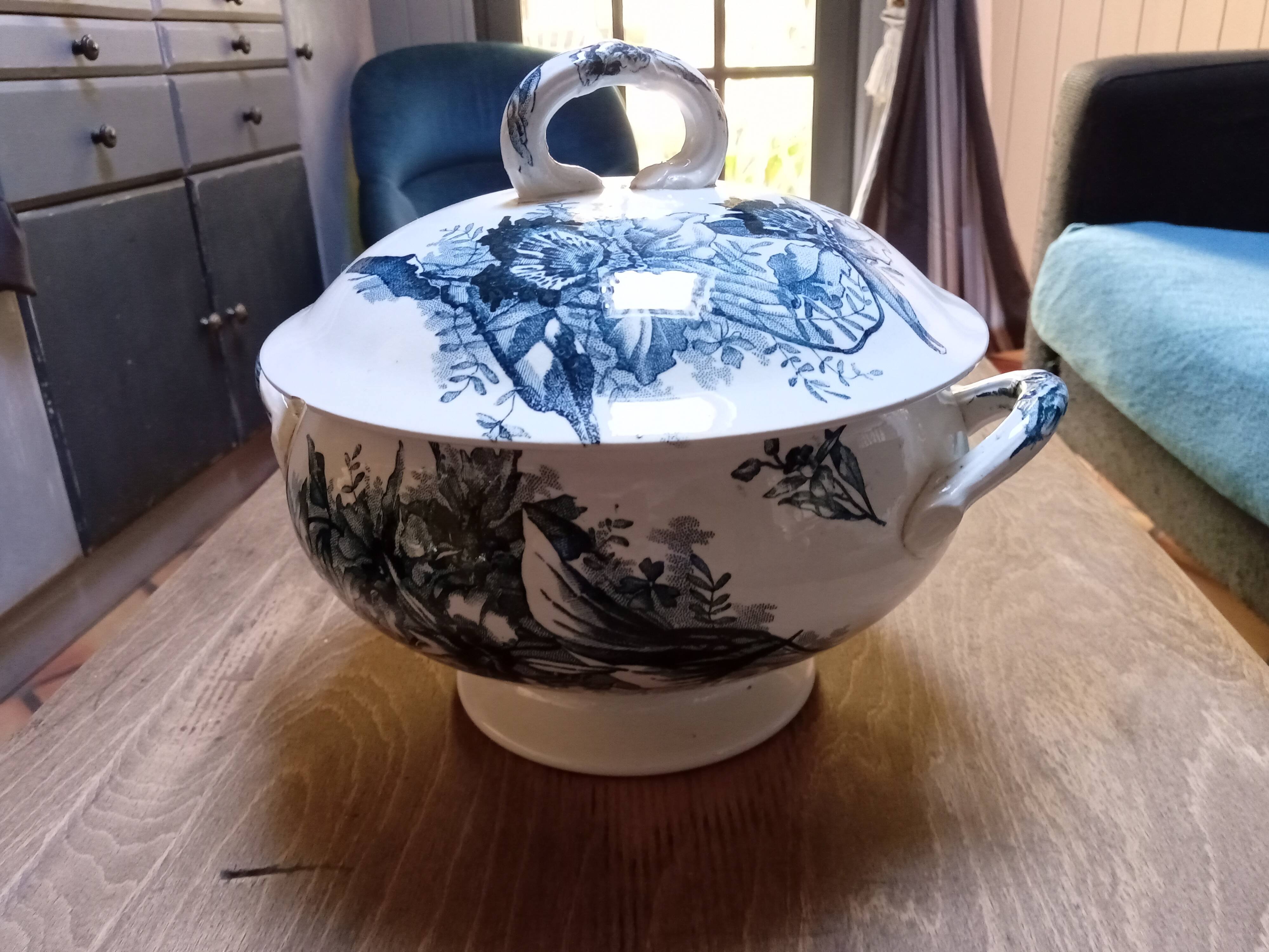 Tureen Iron Earth Orchids