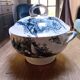 Tureen Iron Earth Orchids