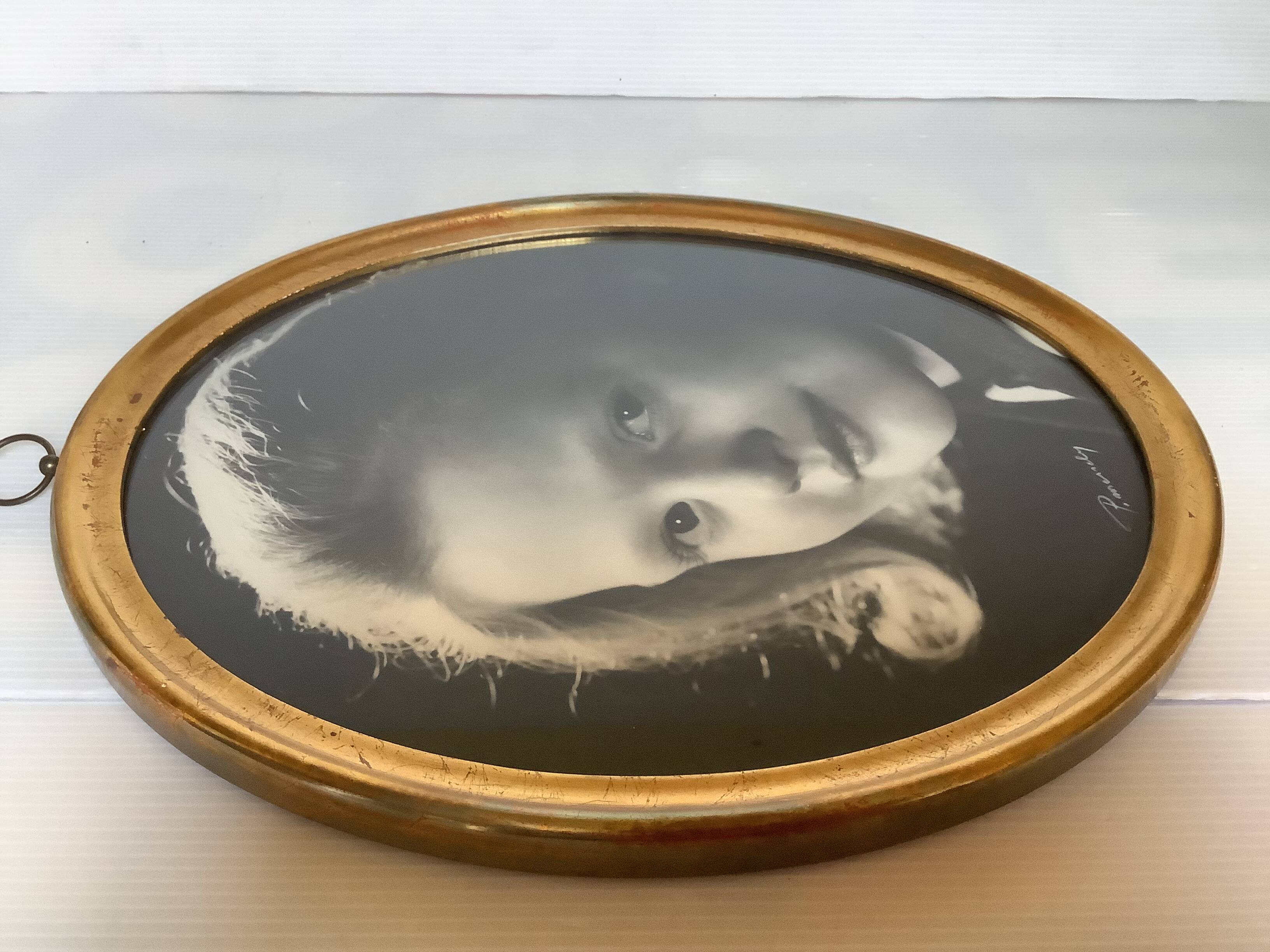 Signed vintage photograph