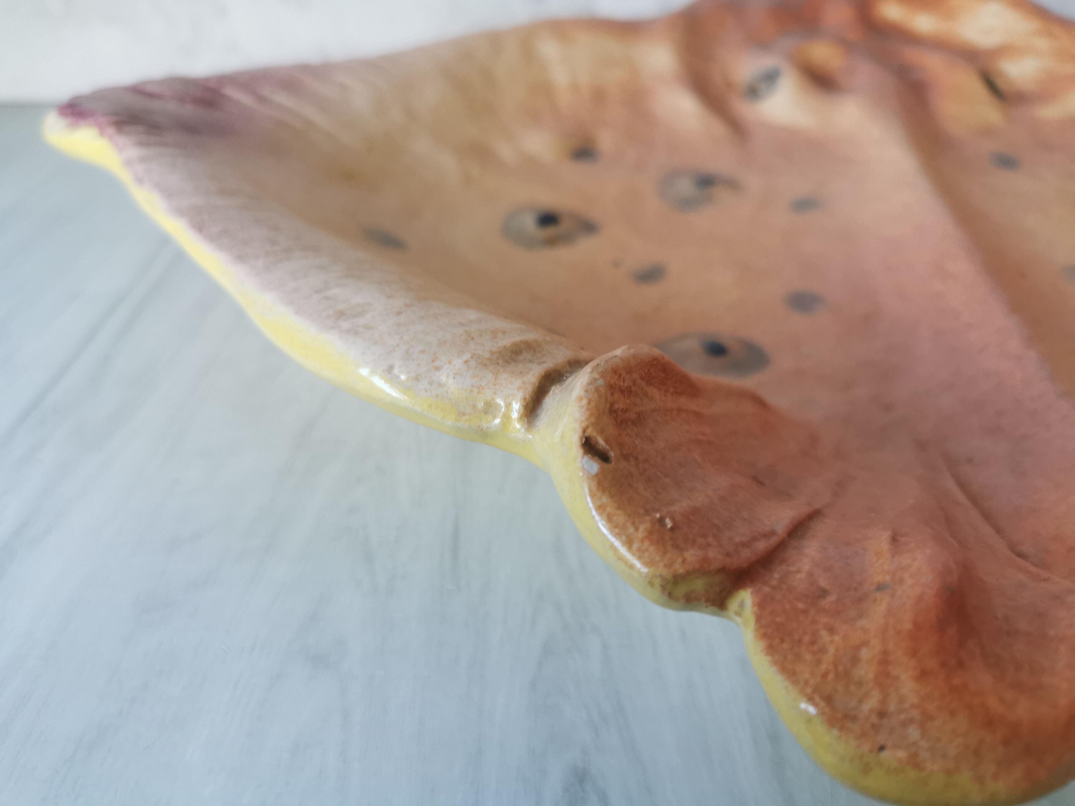 Zoomorphic dish ray
