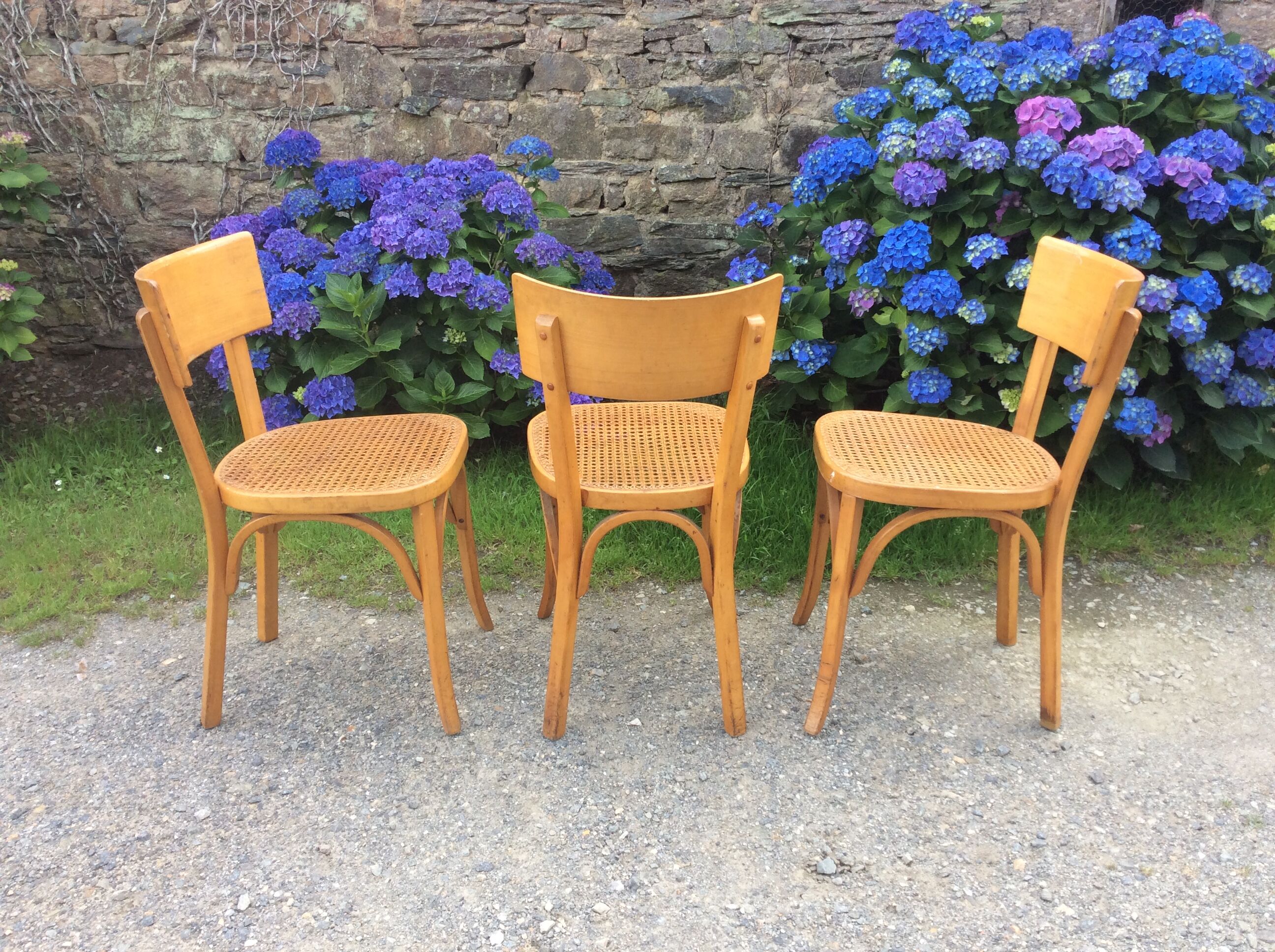 Trio de chaises cannées de style Bauman en hêtre non estampillées.