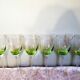 6 stemmed glasses