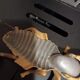 Ancien cendrier insecte en laiton dorée vintage cendrier mouche