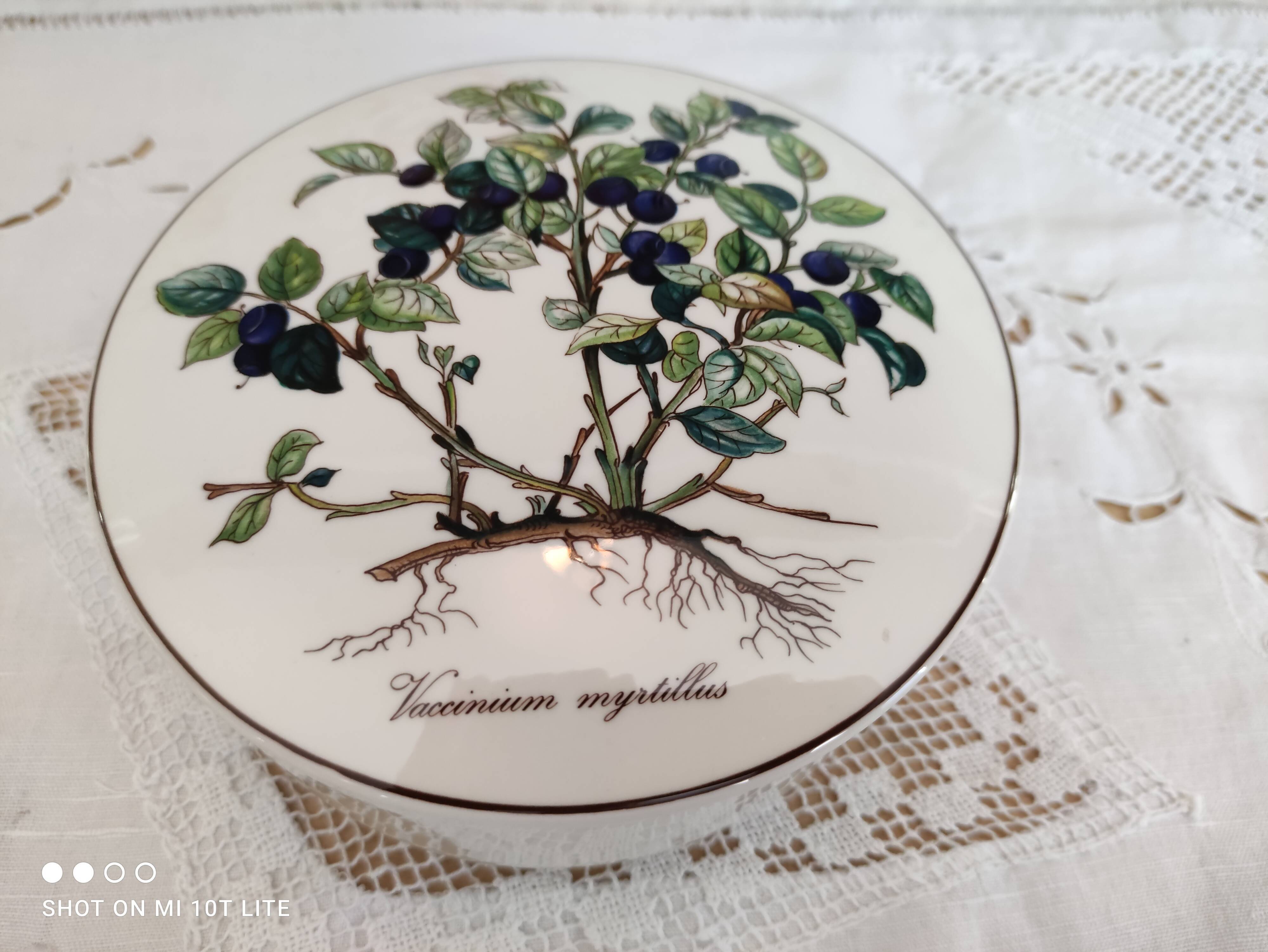 Porcelain box villeroy & boch model botanica "vaccinium myrtillus"