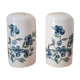 Porcelain salt and pepper shaker
