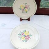 6 old flat plates