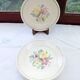 6 old flat plates