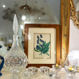 Framed engraving of botany, nineteenth