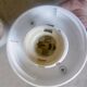 Paire d'appliques boules en verre opalin