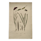 Old engraving from 1838 - Zygene butterfly and herbs - Original zoological and botanical plate